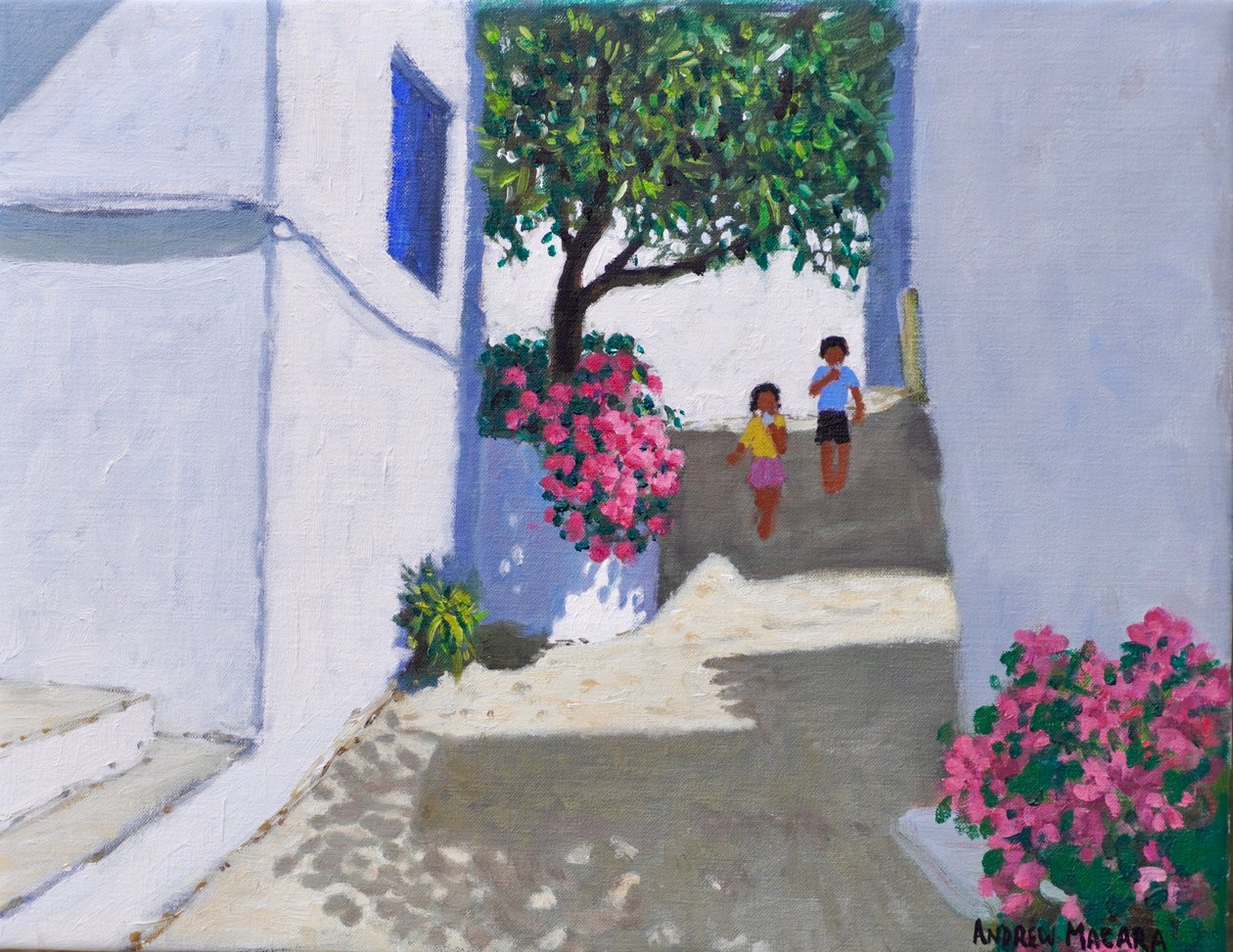 Bougainvillea, Skiathos, 2024 by Andrew Macara