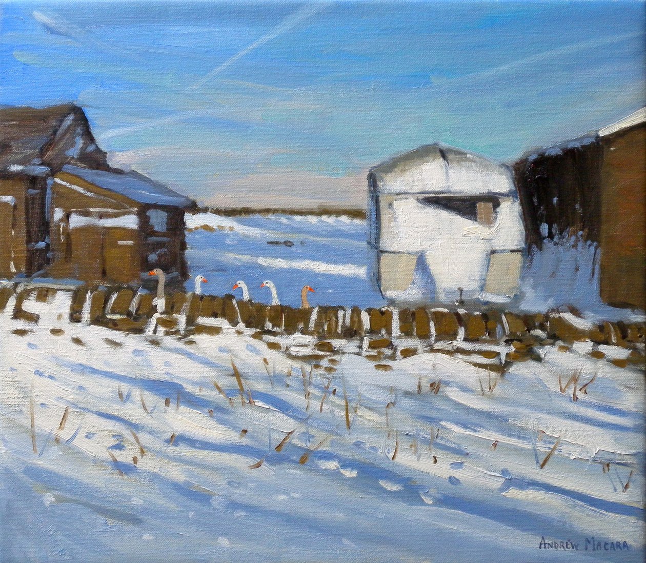 Caravan and Geese, Derbyshire, 2011 by Andrew Macara