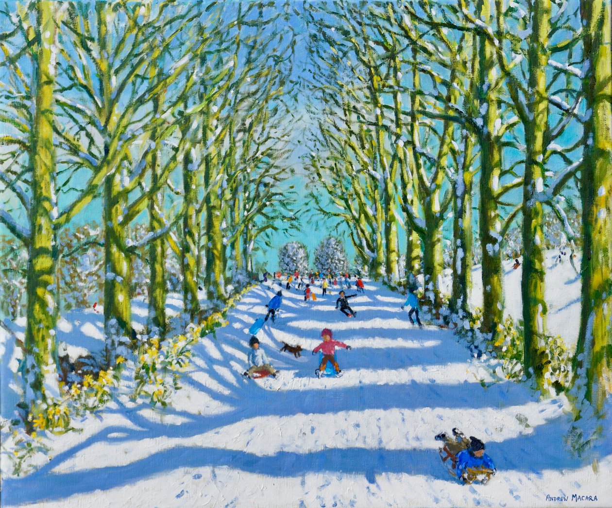 Fun in the Sun and Snow, Derby, 2022 by Andrew Macara