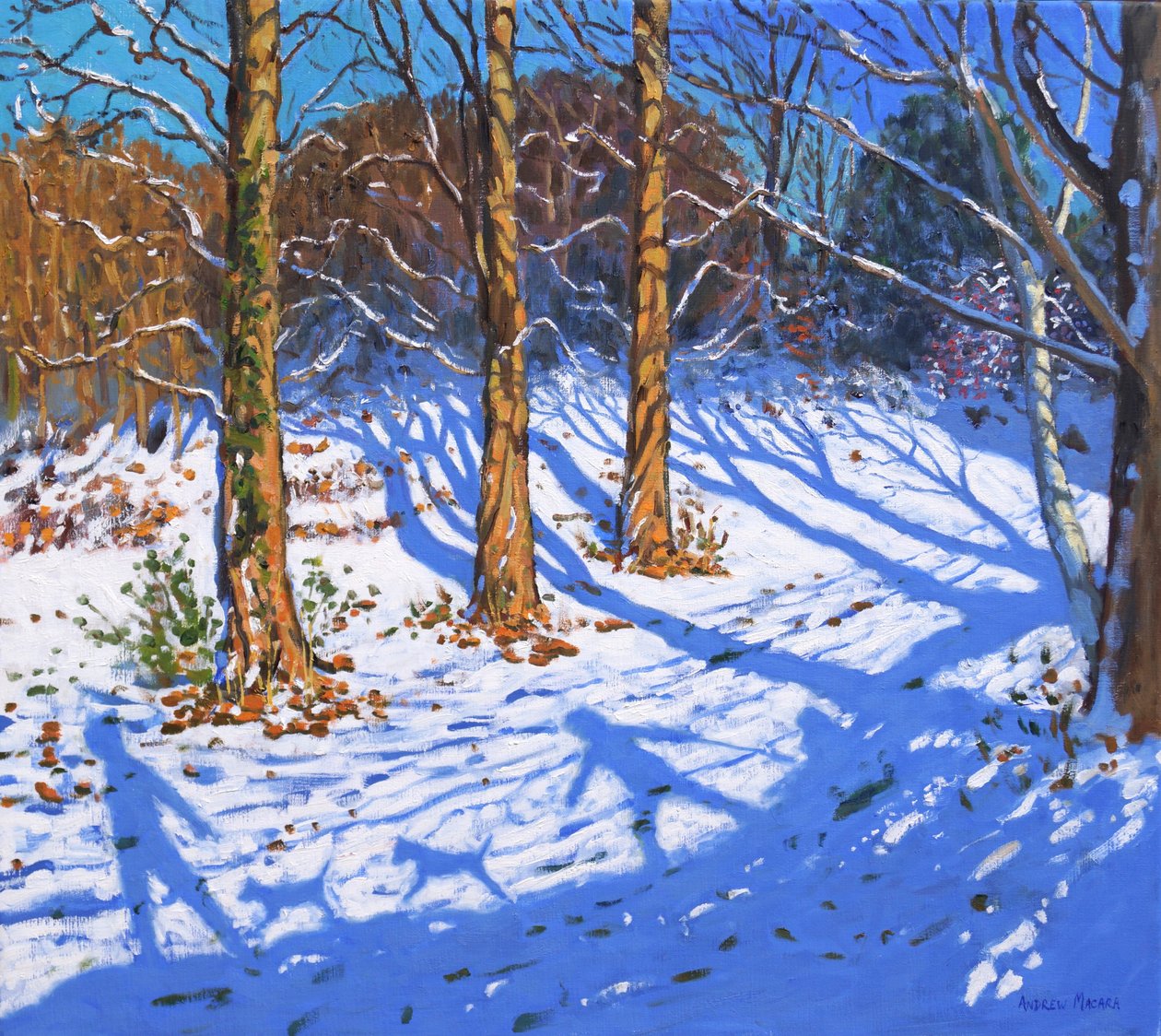 November snow, Allestree Park, Derby by Andrew Macara