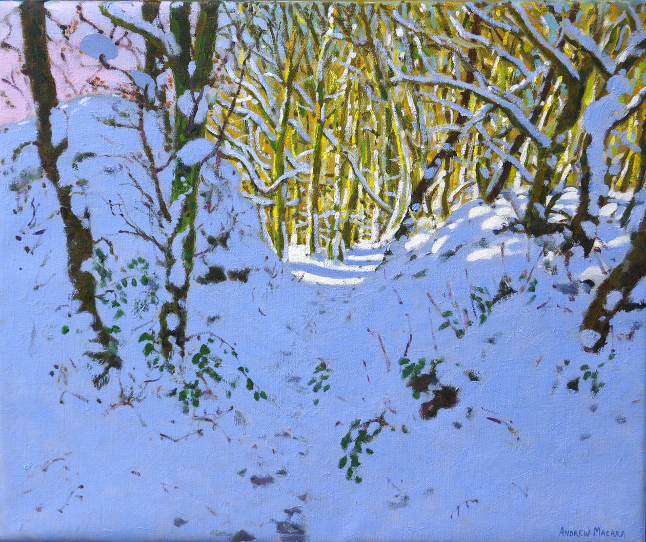 Path through the Woods in Winter, Derbyshire by Andrew Macara