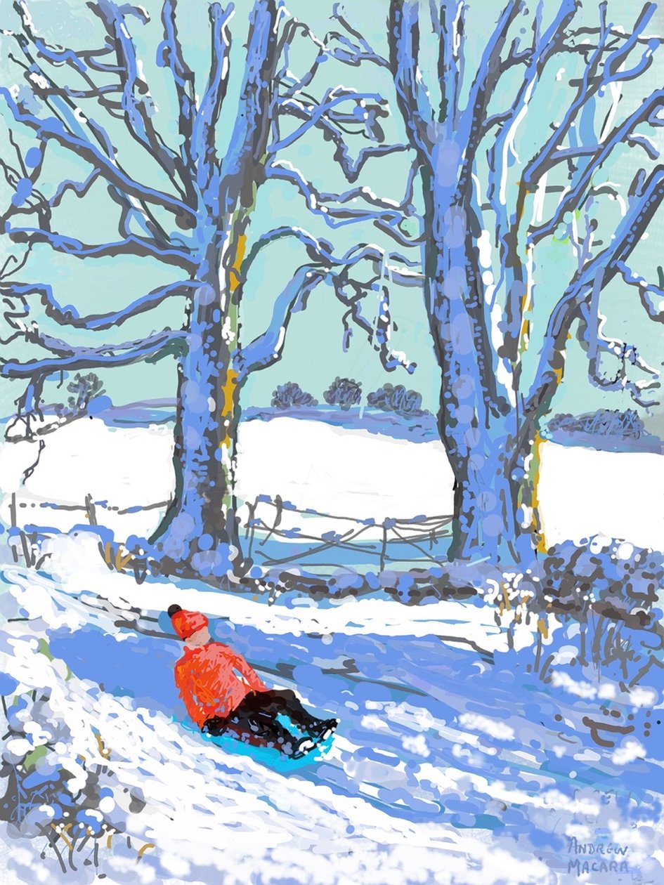 Sledging in Derbyshire, 2021 by Andrew Macara