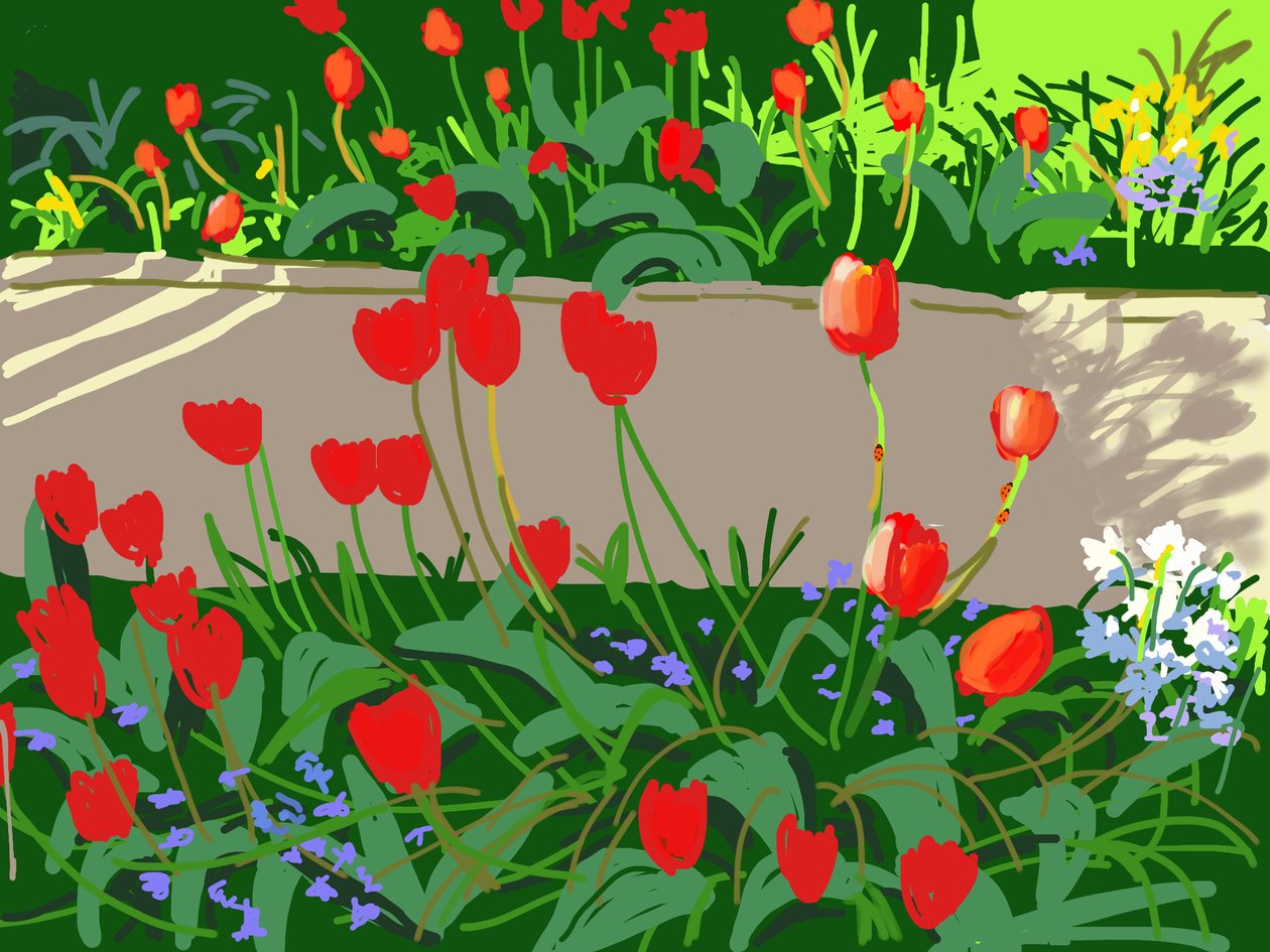 Tulips and Ladybirds by Andrew Macara