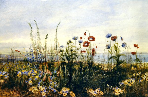 A View of Kingstown and Dublin Bay by Andrew Nicholl