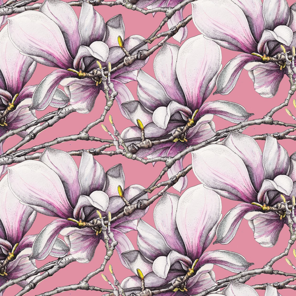 Magnolia by Andrew Watson