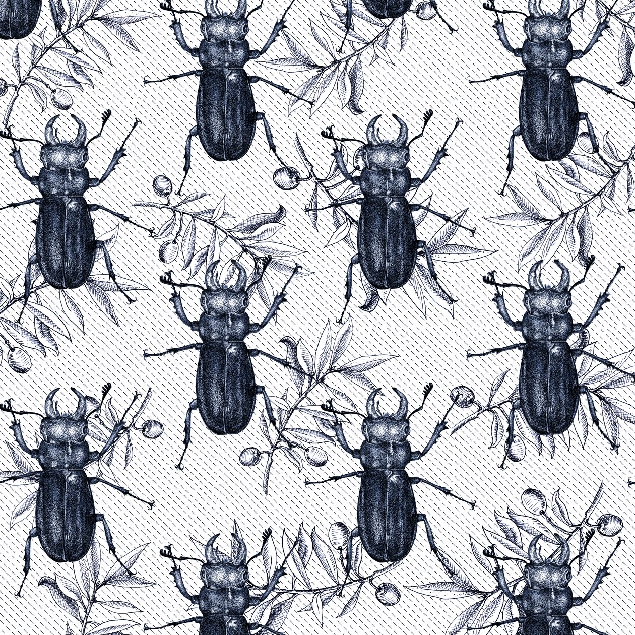 Stag Beetles, 2017 by Andrew Watson