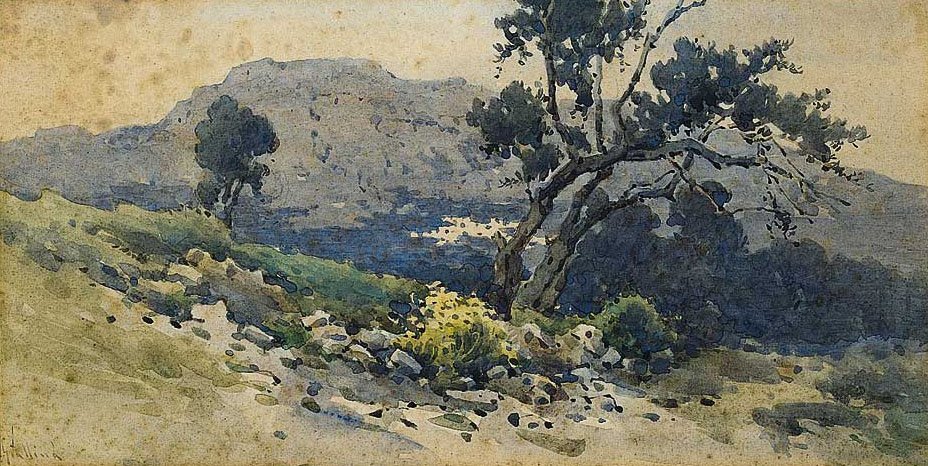 Old Olive Tree by Angelos Giallinas