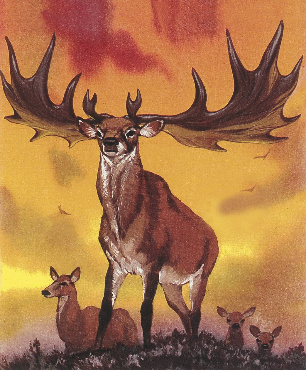 Giant Elk by Angus McBride