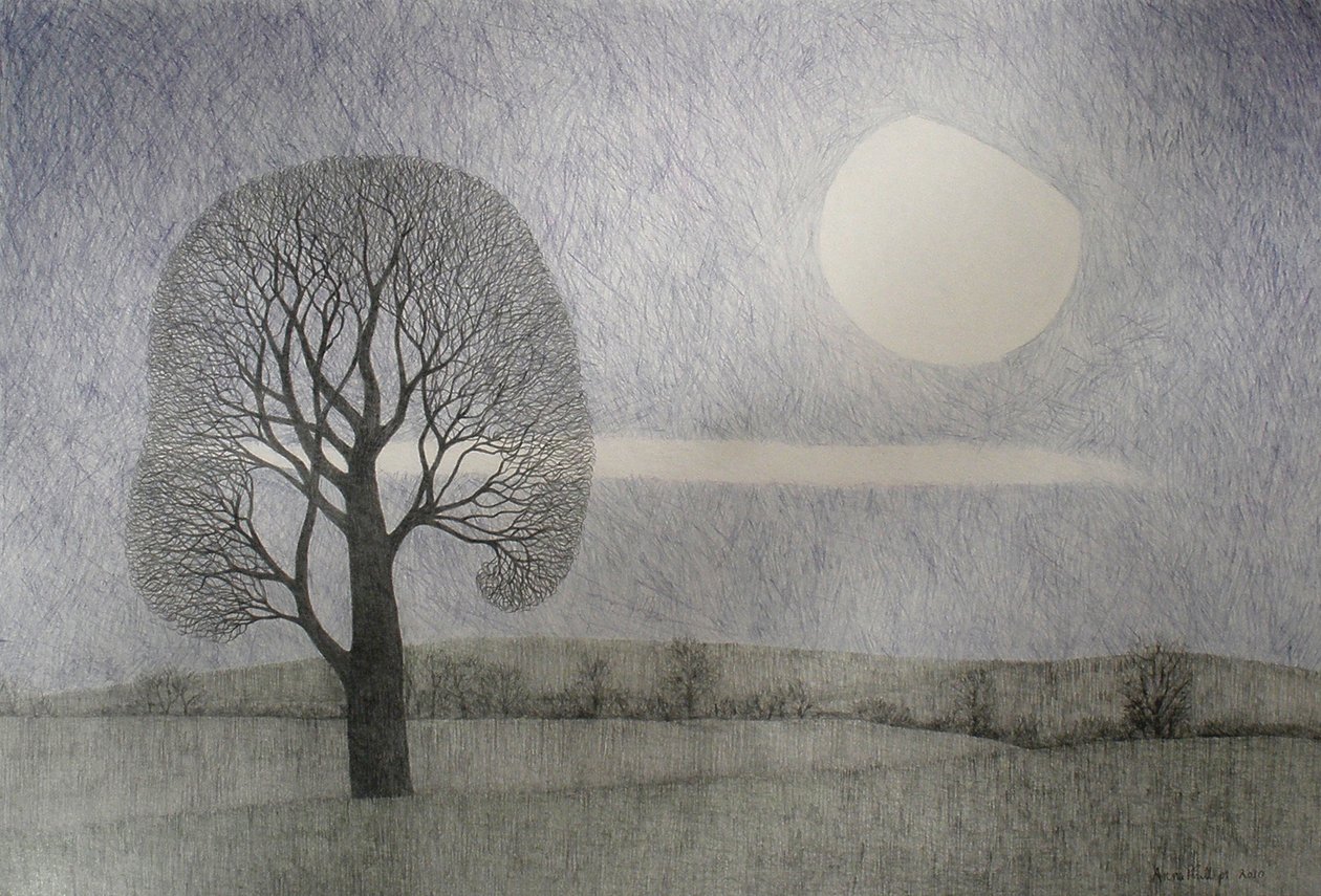 February Moon, 2010 by Anna Phillips