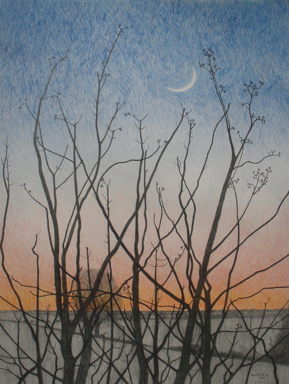 From my Window, 2011 by Anna Phillips