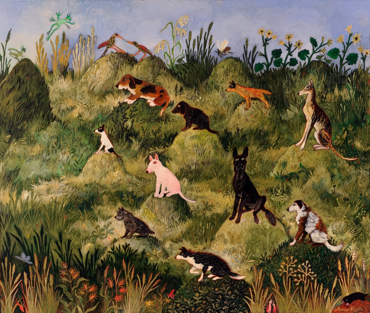 Ready, Steady... by Anna Pugh