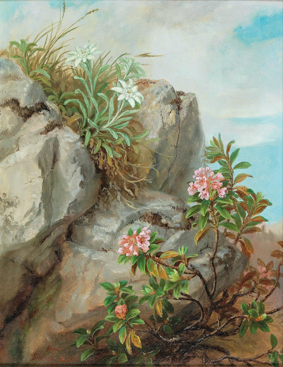 Alpine Roses by Anna Stainer Knittel