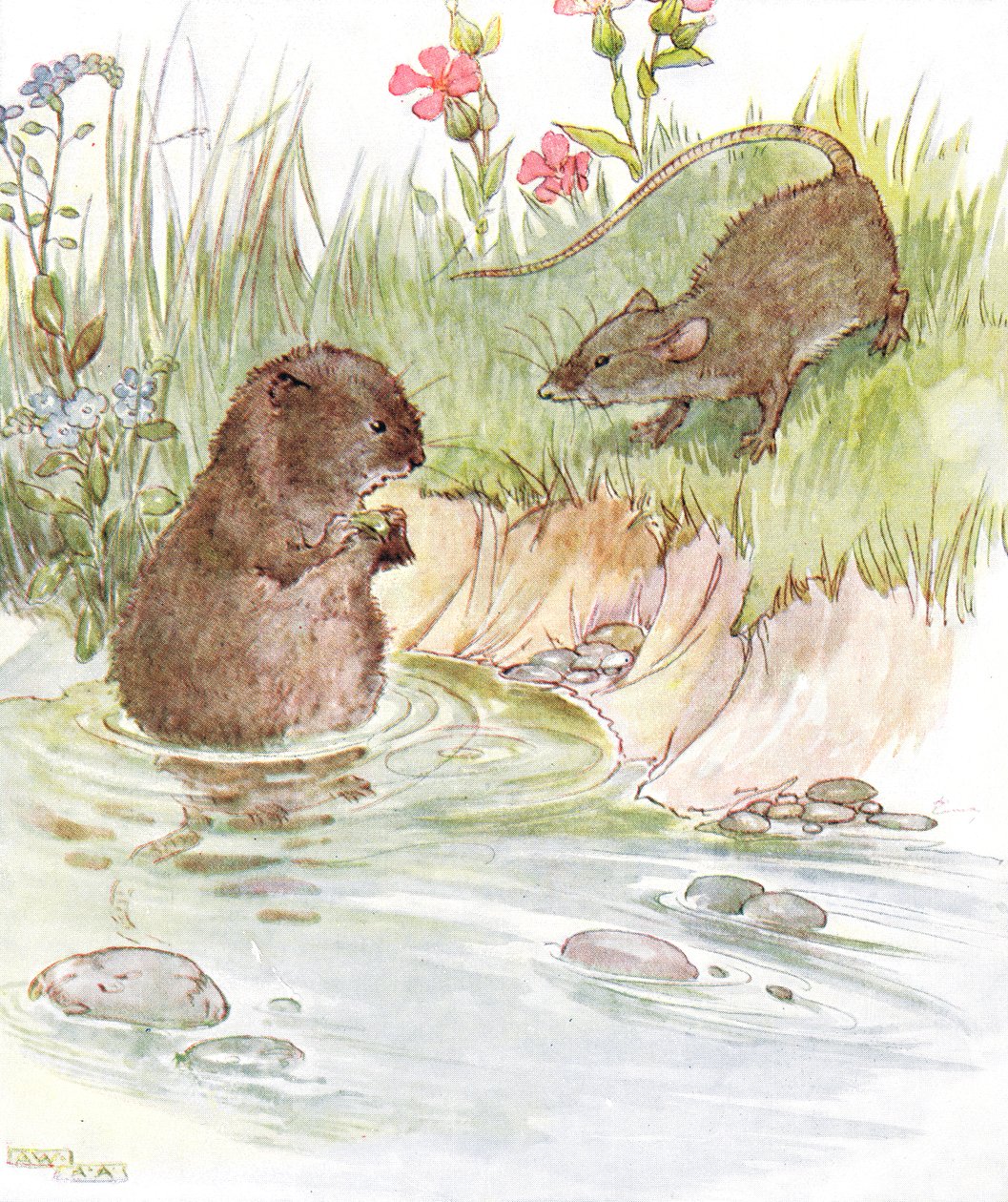 Called on Squire Water Rat, Old Friend of the Family, Illustration from 