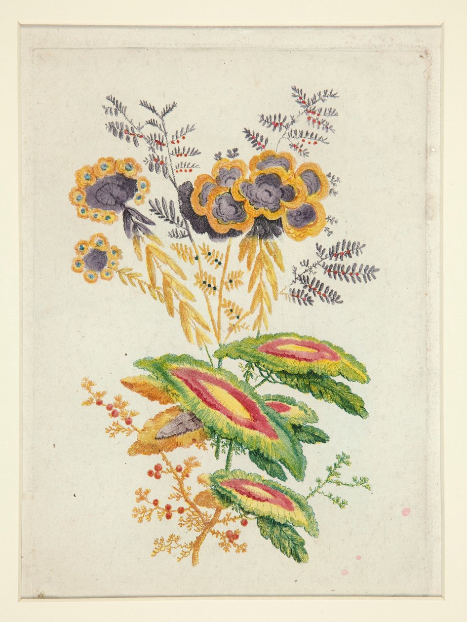Fantastic Flowers, from New Suite of Notebooks of Ideal Flowers for the Use of Designers and Painters by Anne Allen
