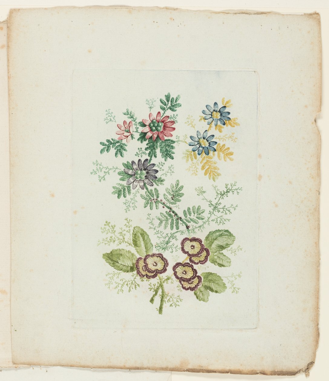Plate, from New Suite of Notebooks of Ideal Flowers for Use by Draftsmen and Painters by Anne Allen