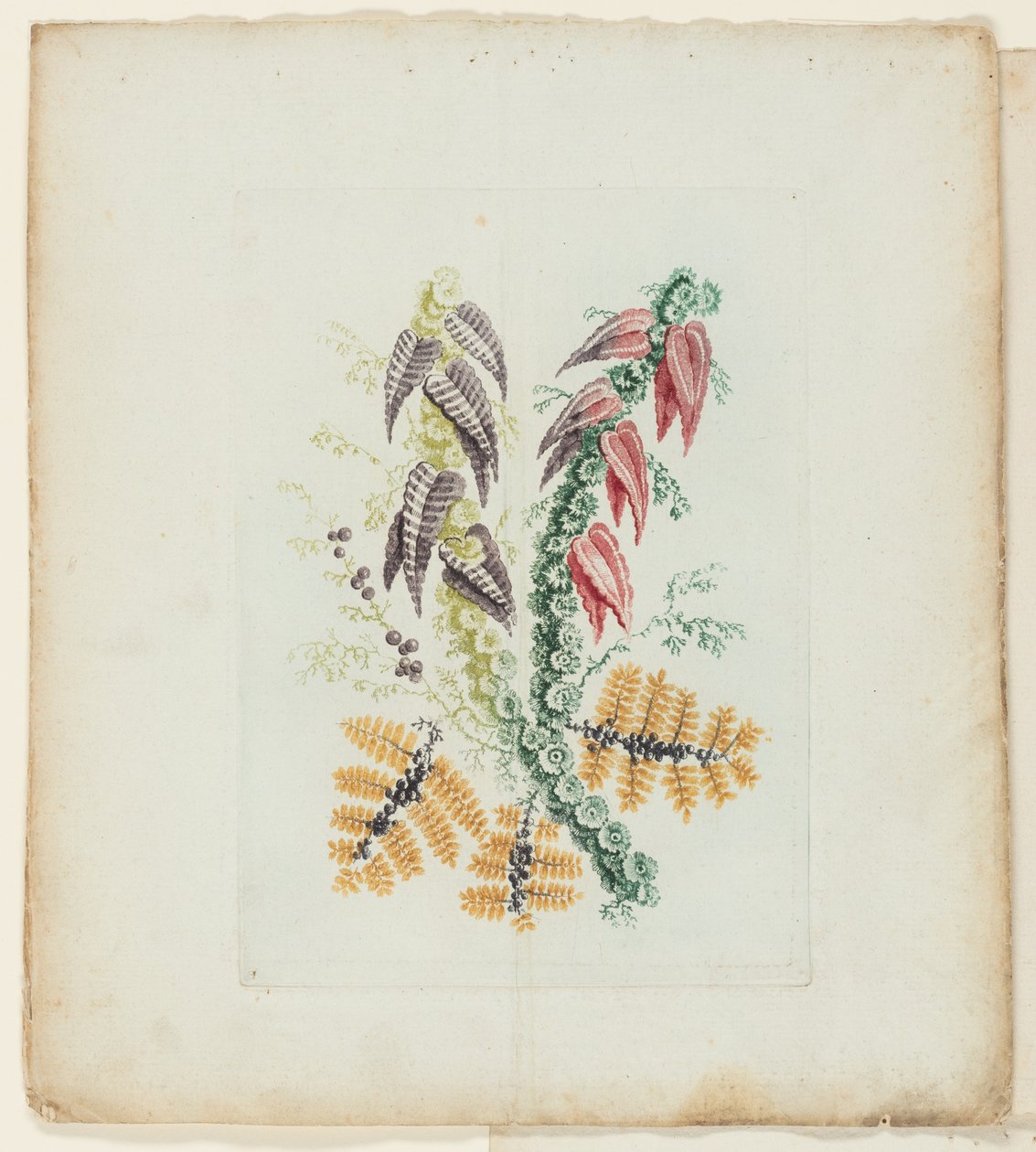 Plate, from New Suite of Notebooks of Ideal Flowers for Use by Draftsmen and Painters by Anne Allen