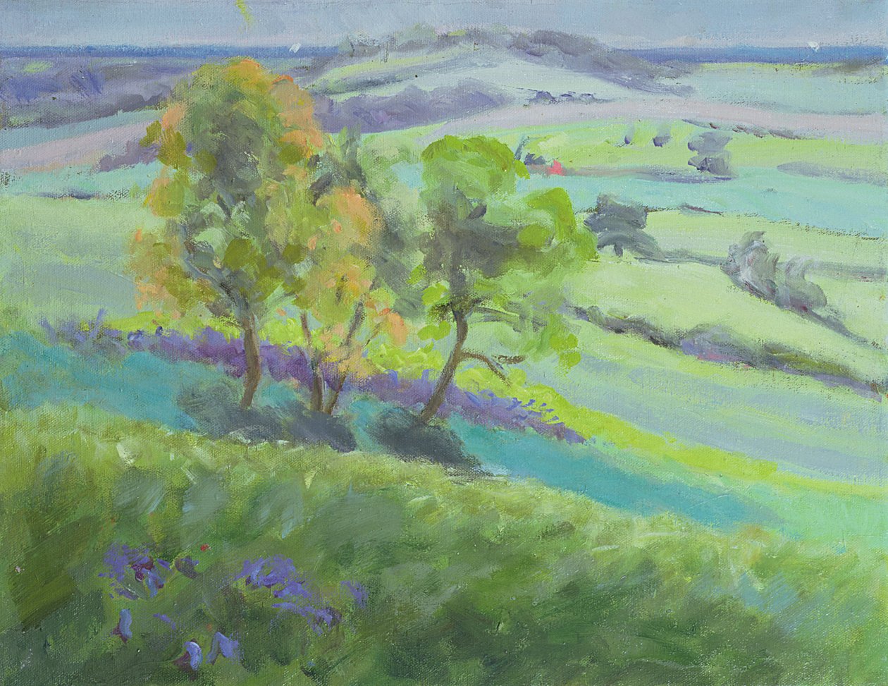 Towards Winchelsea, Sussex, with Bluebells in Spring by Anne Durham