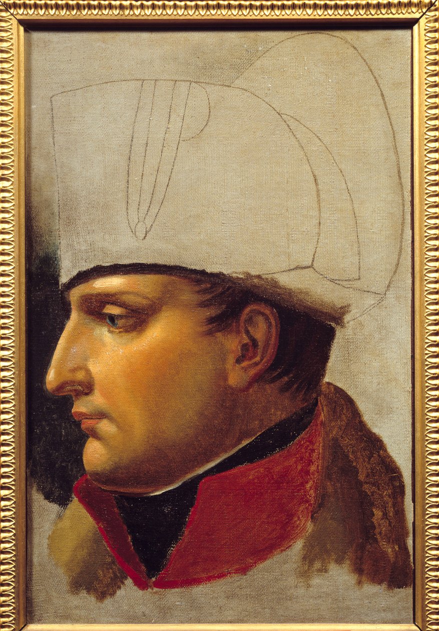 Portrait of Napoleon I (1769-1821) study for the handover of keys to the city of Vienna on November 13 by Anne Louis Girodet de Roucy Trioson