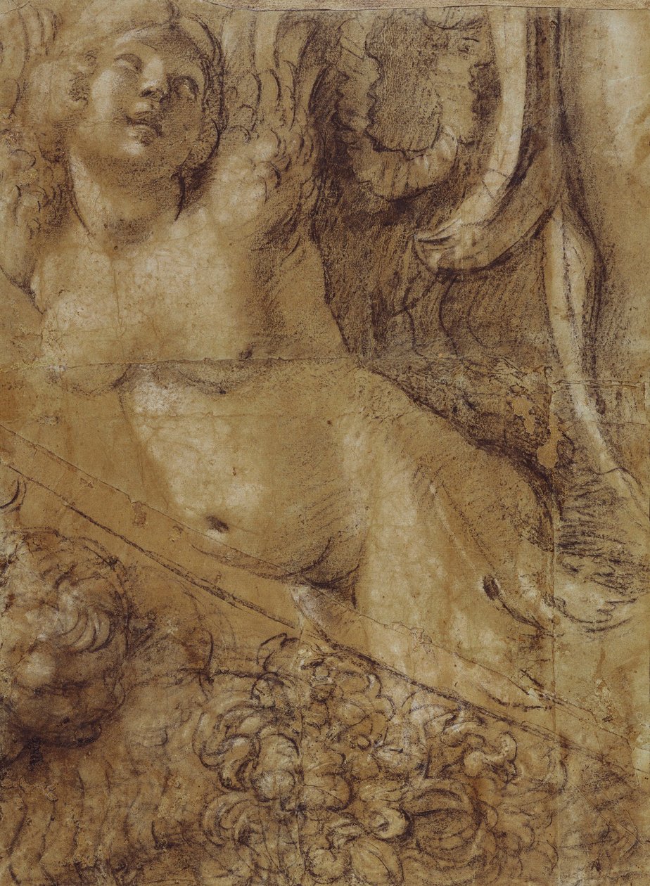 Cartoon Siren by Annibale Carracci