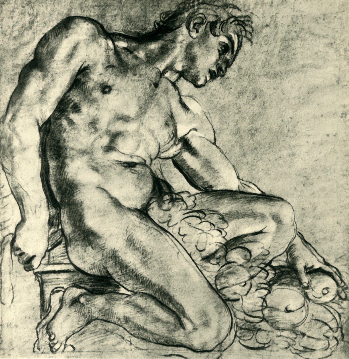 A Seated Ignudo with a Garland, 1598-1599 by Annibale Carracci