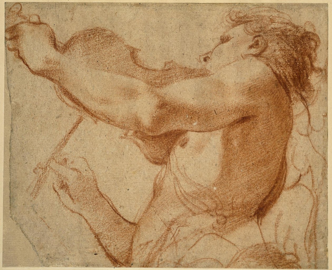 An Angel Playing the Violin by Annibale Carracci