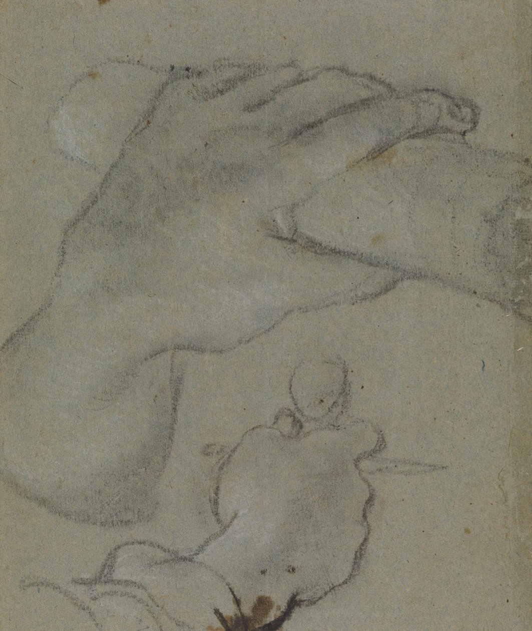 Study for the Hands of St John by Annibale Carracci
