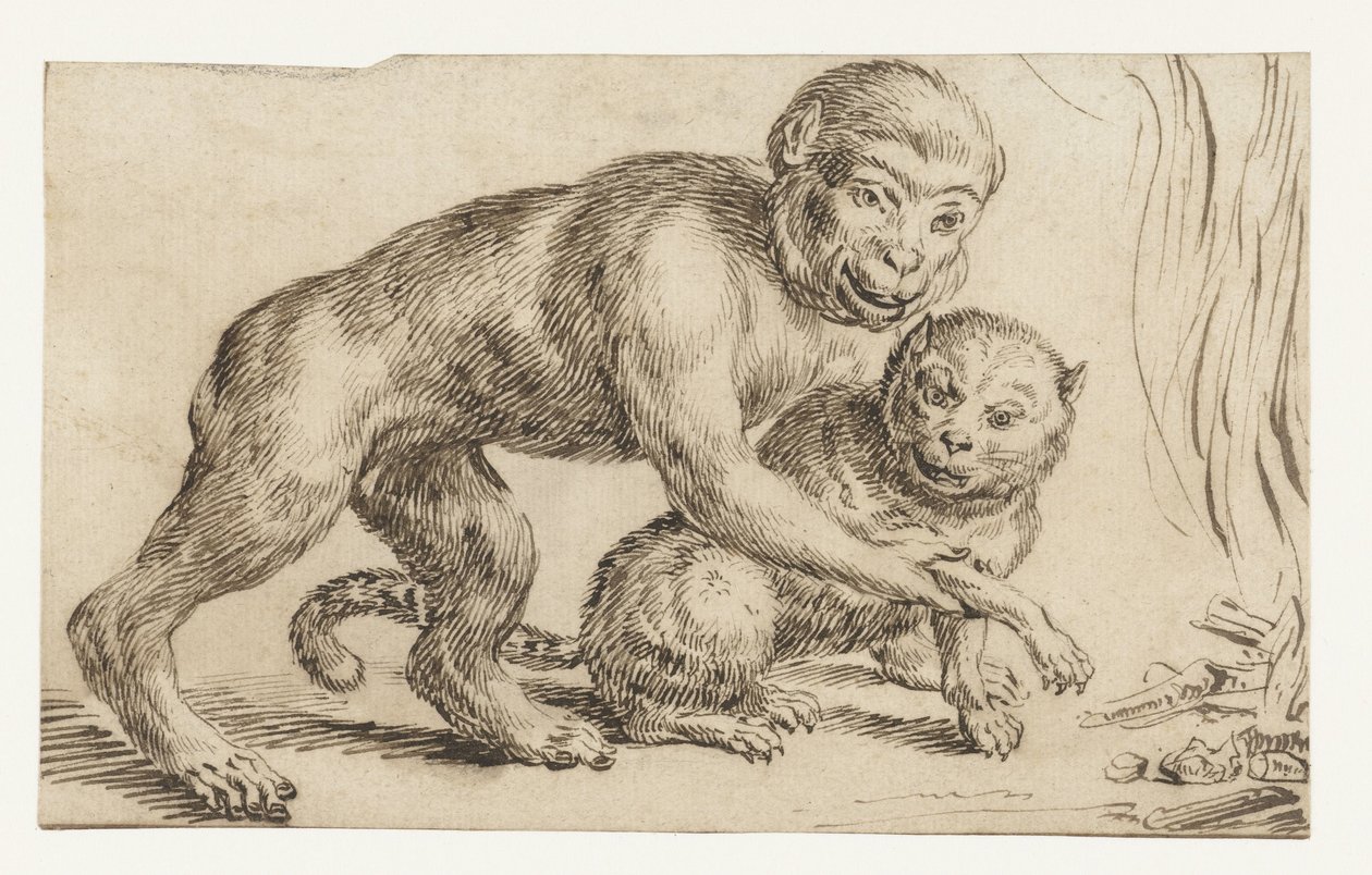 Monkey Holding a Cat