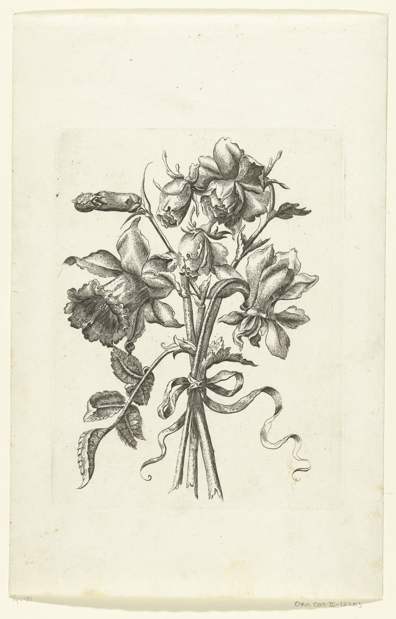 Three Flowers, Including a Daffodil and a Carnation Novae Florum Icones (series title) by Anonymous