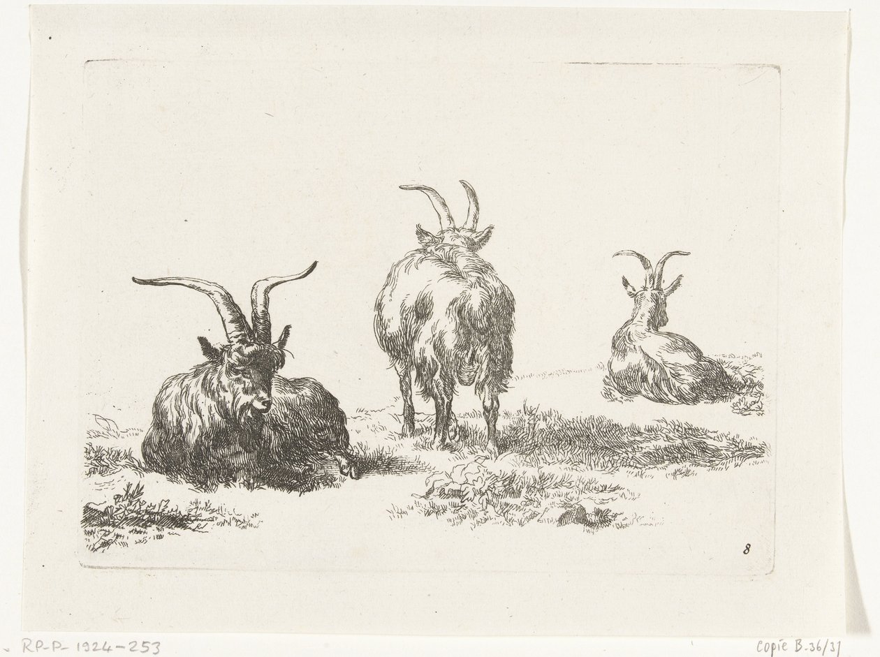 Three Goats by Anonymous