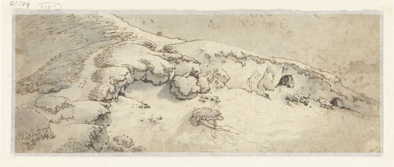 Dune Landscape by Anonymous