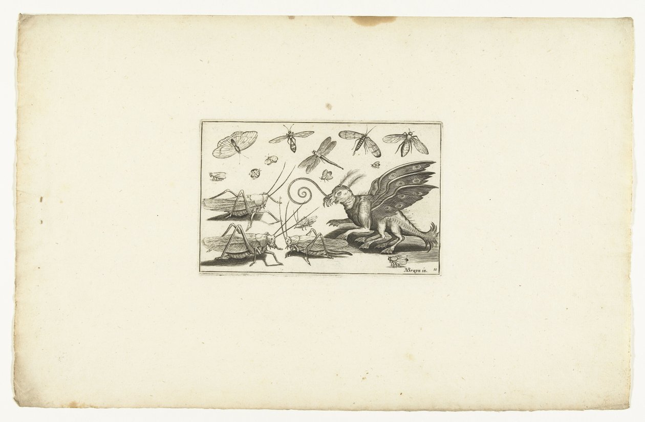 A Fantastic Winged Beast and Grasshoppers Volatilium varii generis (...) (series title) by Anonymous