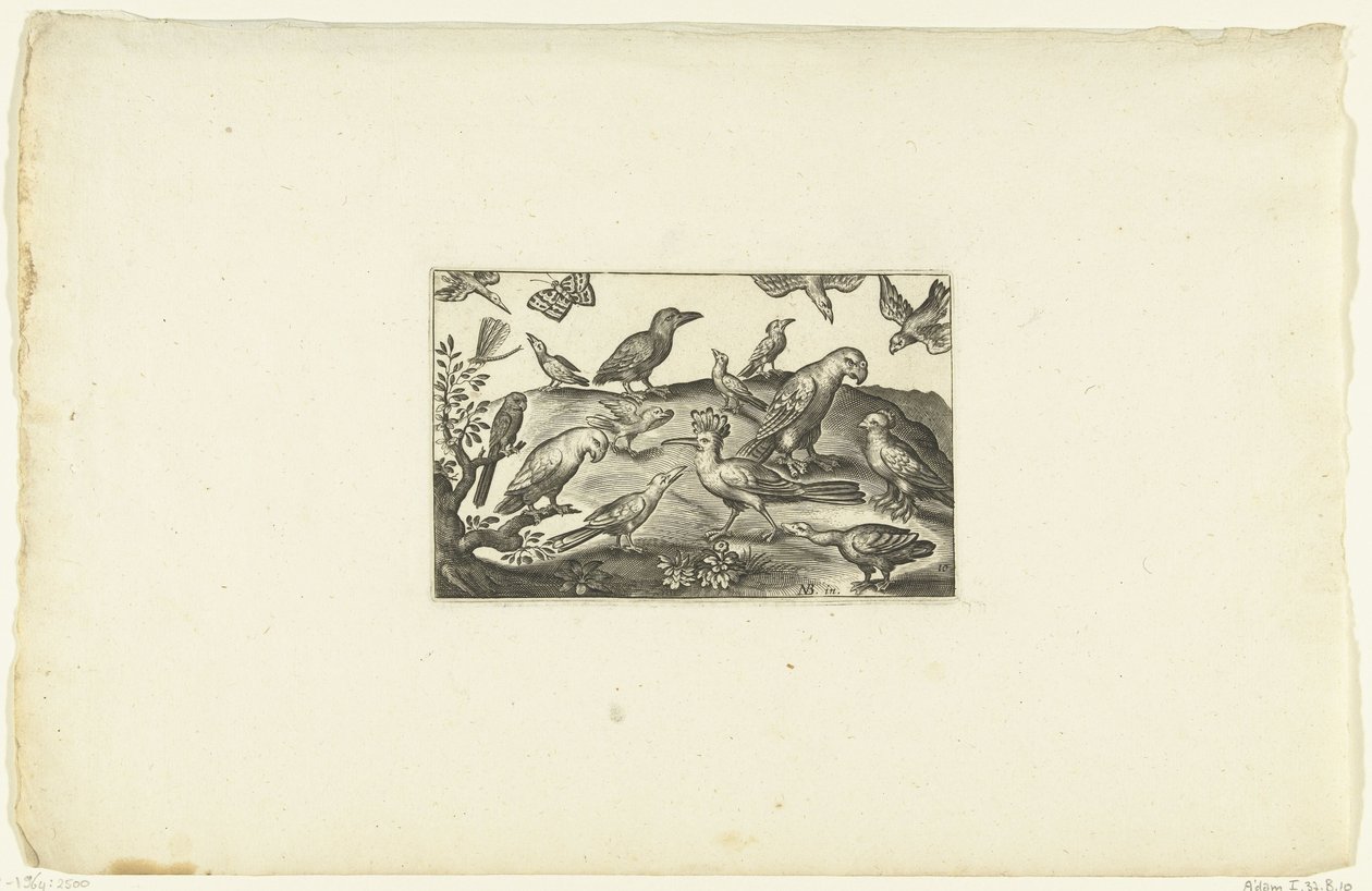 A Hoopoe with Various Birds Volatilium varii generis (...) (series title) by Anonymous
