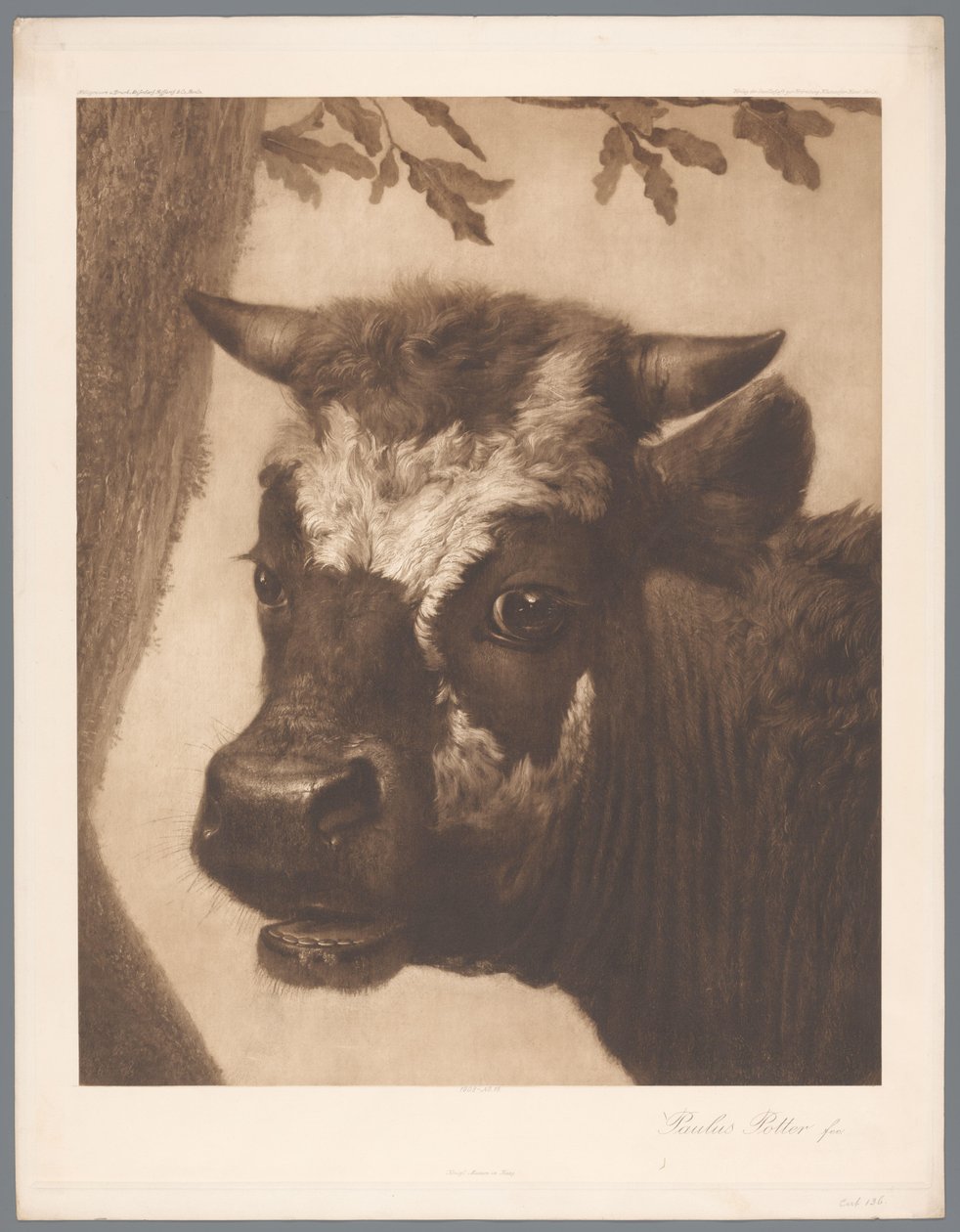 Photoreproduction of detail of the painting The Bull by Paulus Potter, coll. Mauritshuis by Anonymous