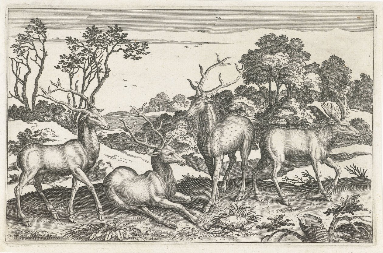 Deer (series: Four-Legged Animals, Animalivm Qvaddrvpedvm) by Anonymous