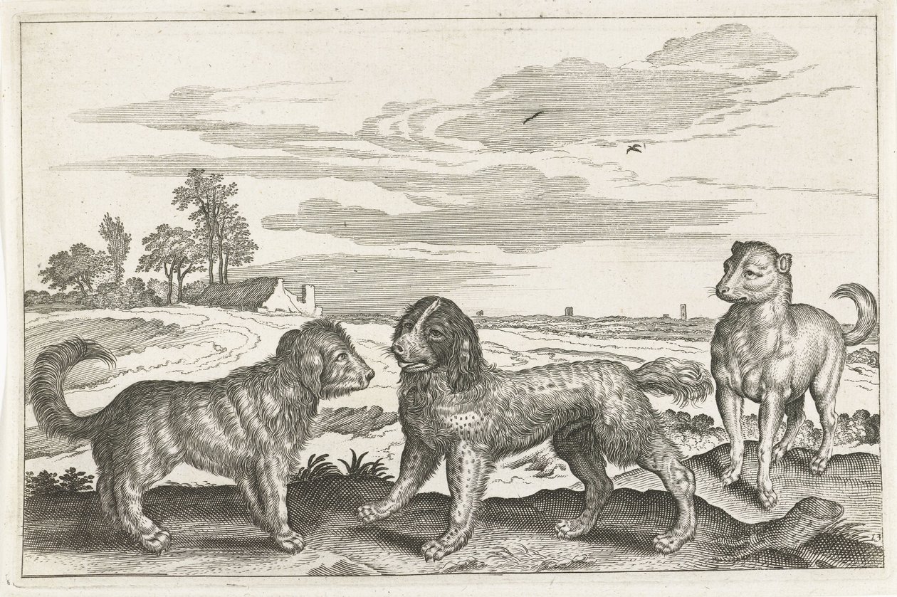 Dogs (Four-Legged Animals) by Anonymous