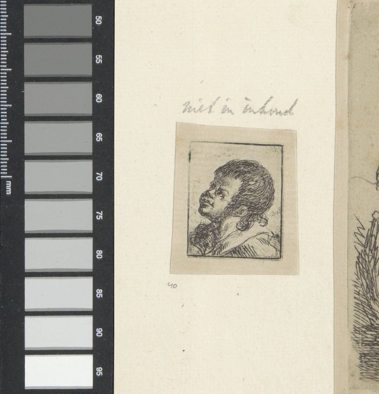 Head of a Boy by Anonymous
