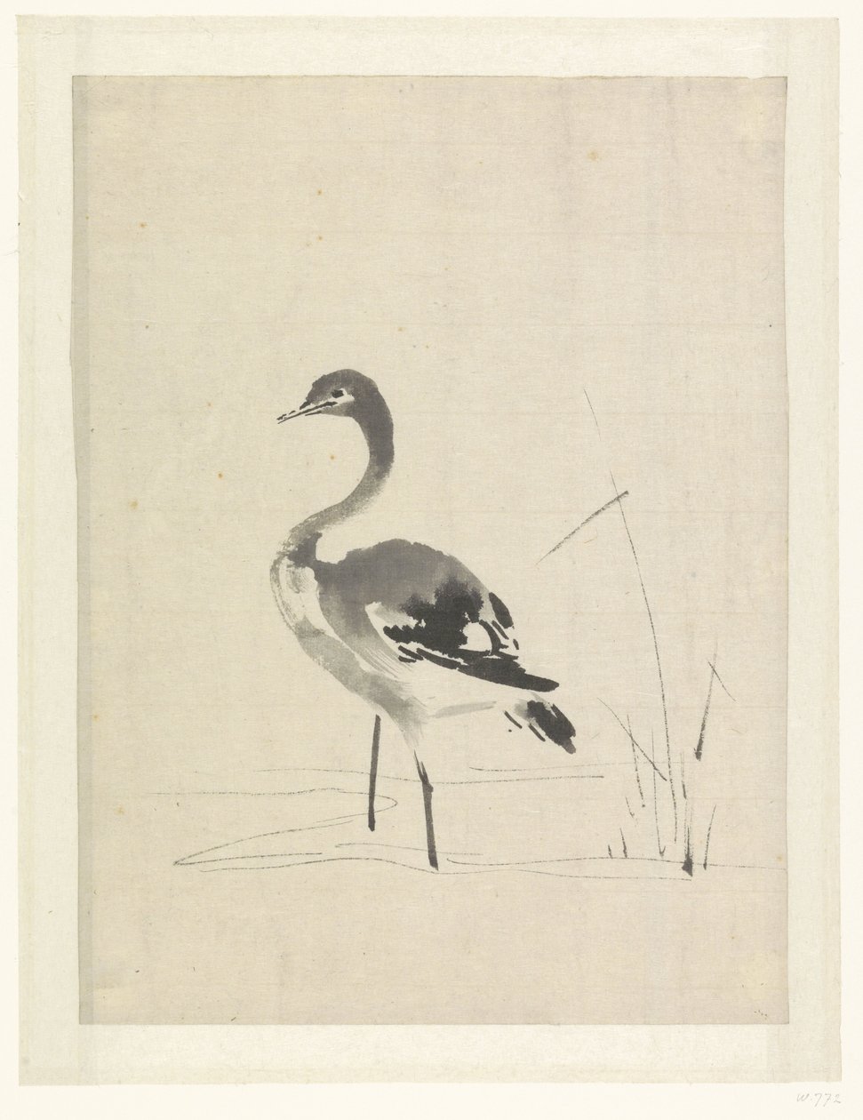 Young Crane by Anonymous
