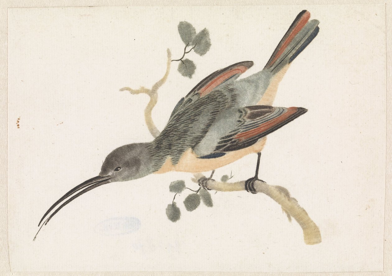 Hummingbird on a Branch Facing Left by Anonymous