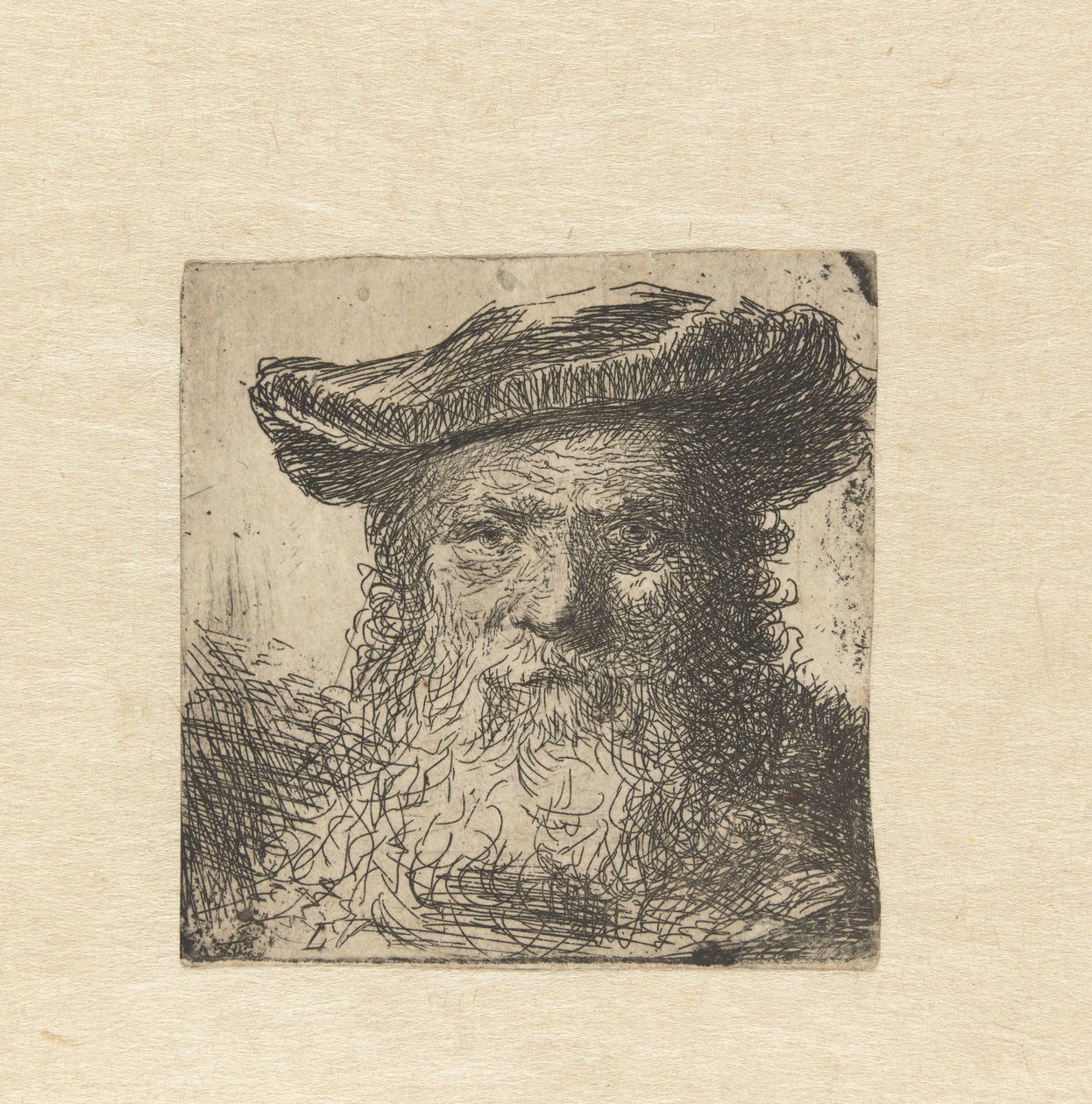 Head of an Old Man with Beard and Hat by Anonymous