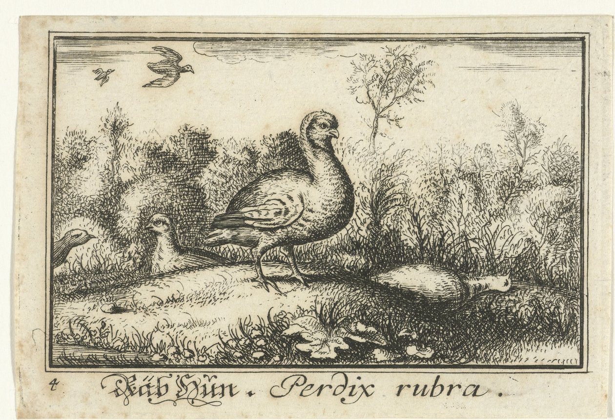Landscape with Partridges (Räb Hun, Perdix rubra) by Anonymous