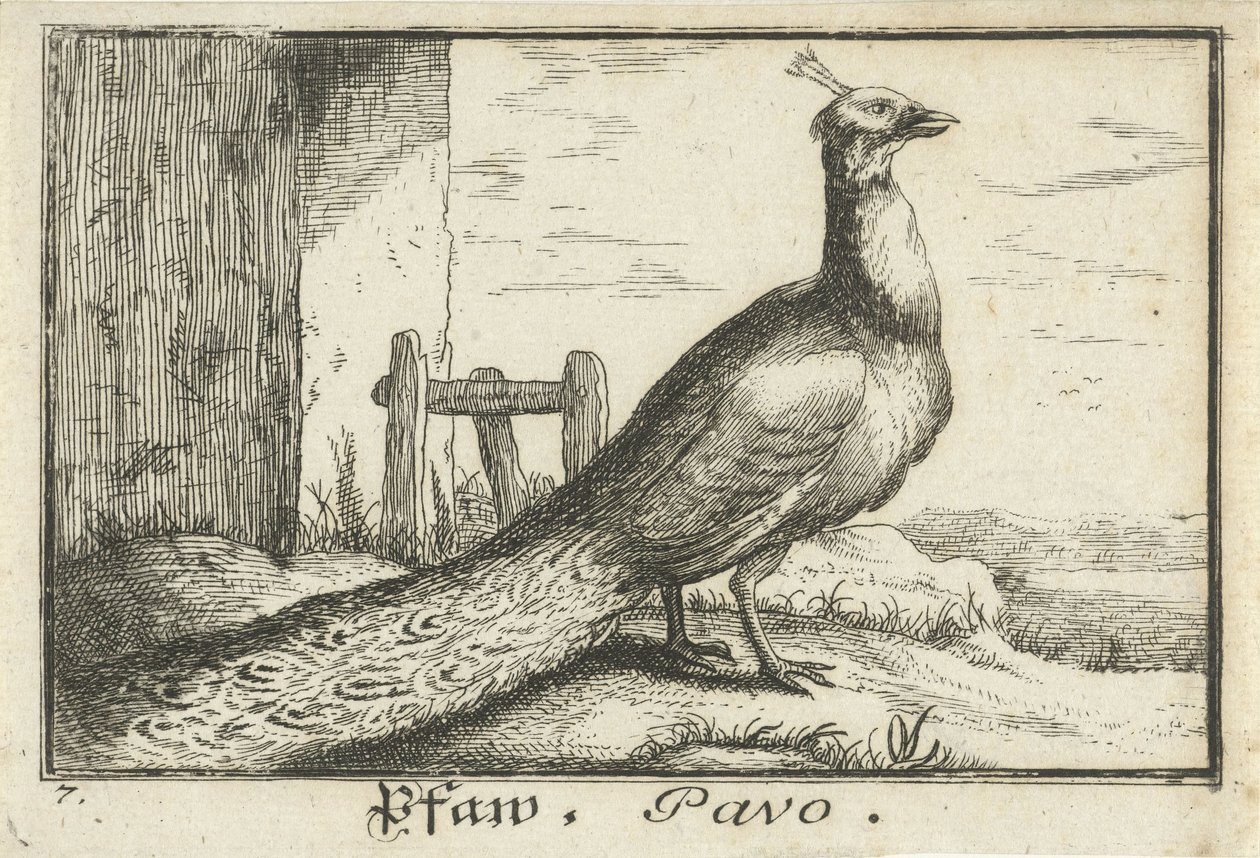 Landscape with Peacock by Anonymous