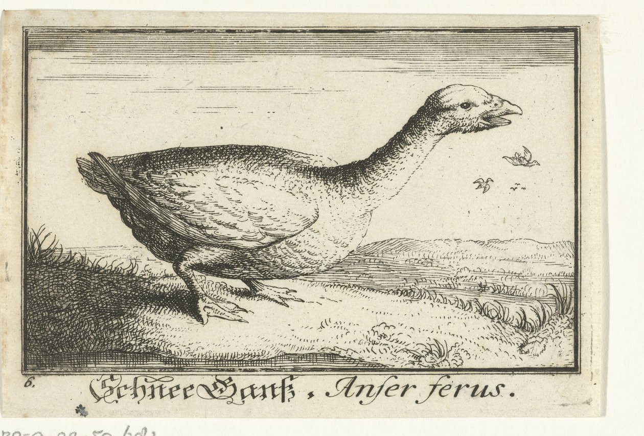Landscape with Wild Goose by Anonymous
