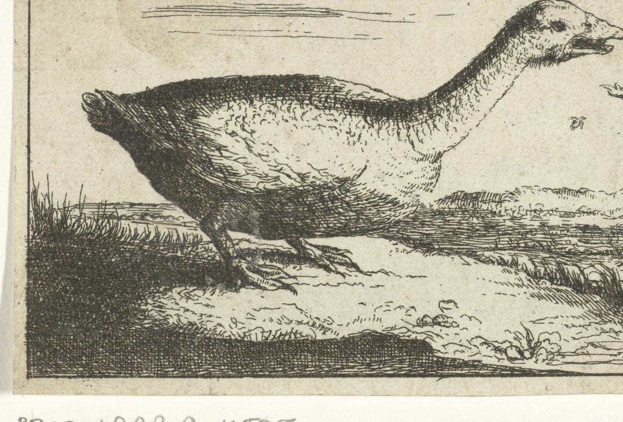 Landscape with Wild Goose by Anonymous