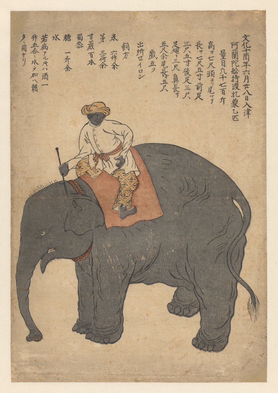 Elephant Brought by a Dutch Ship in 1813 by Anonymous