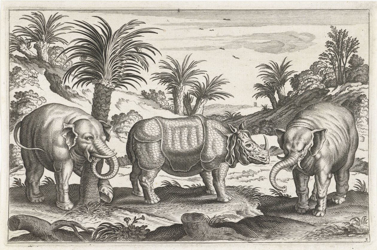 Elephants and Rhinoceros (series: Quadruped Animals, Animalivm Qvaddrvpedvm) by Anonymous