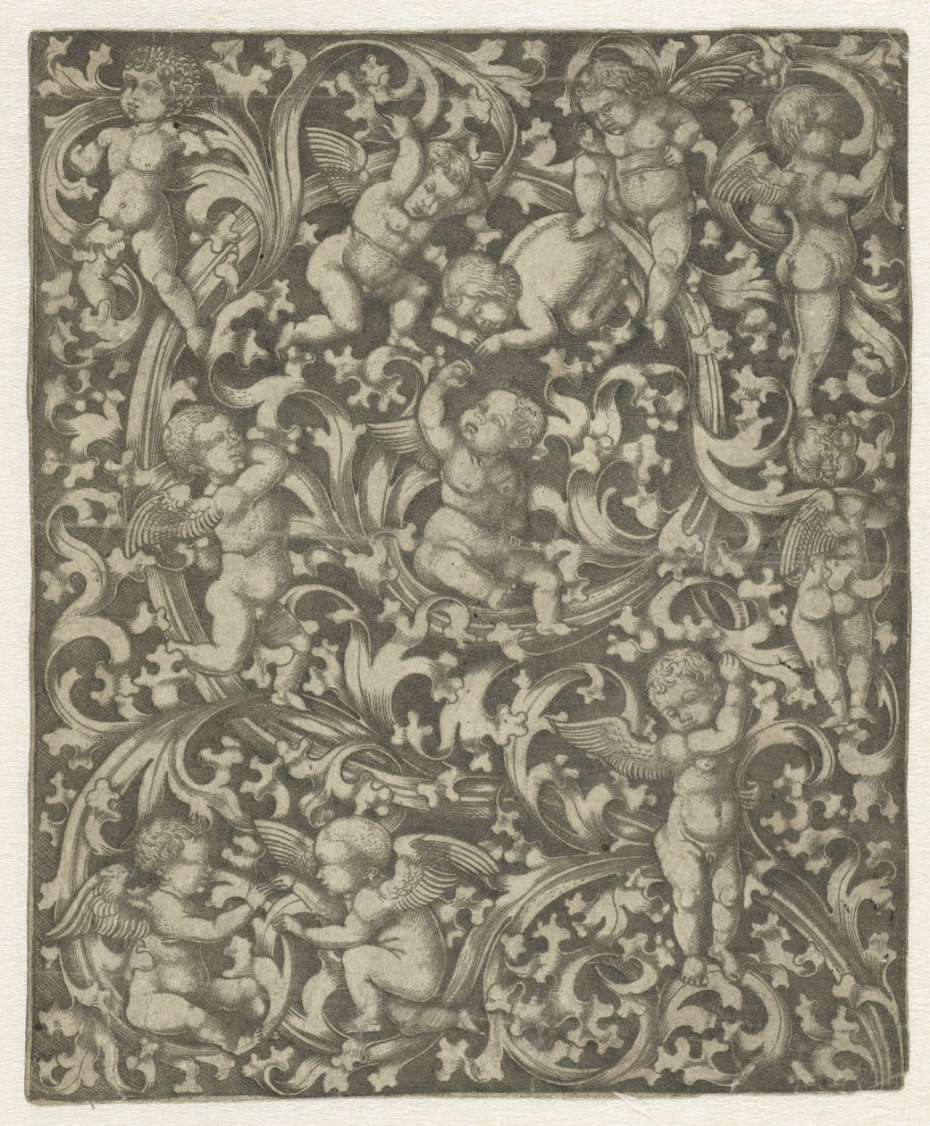 Ornament with Putti by Anonymous