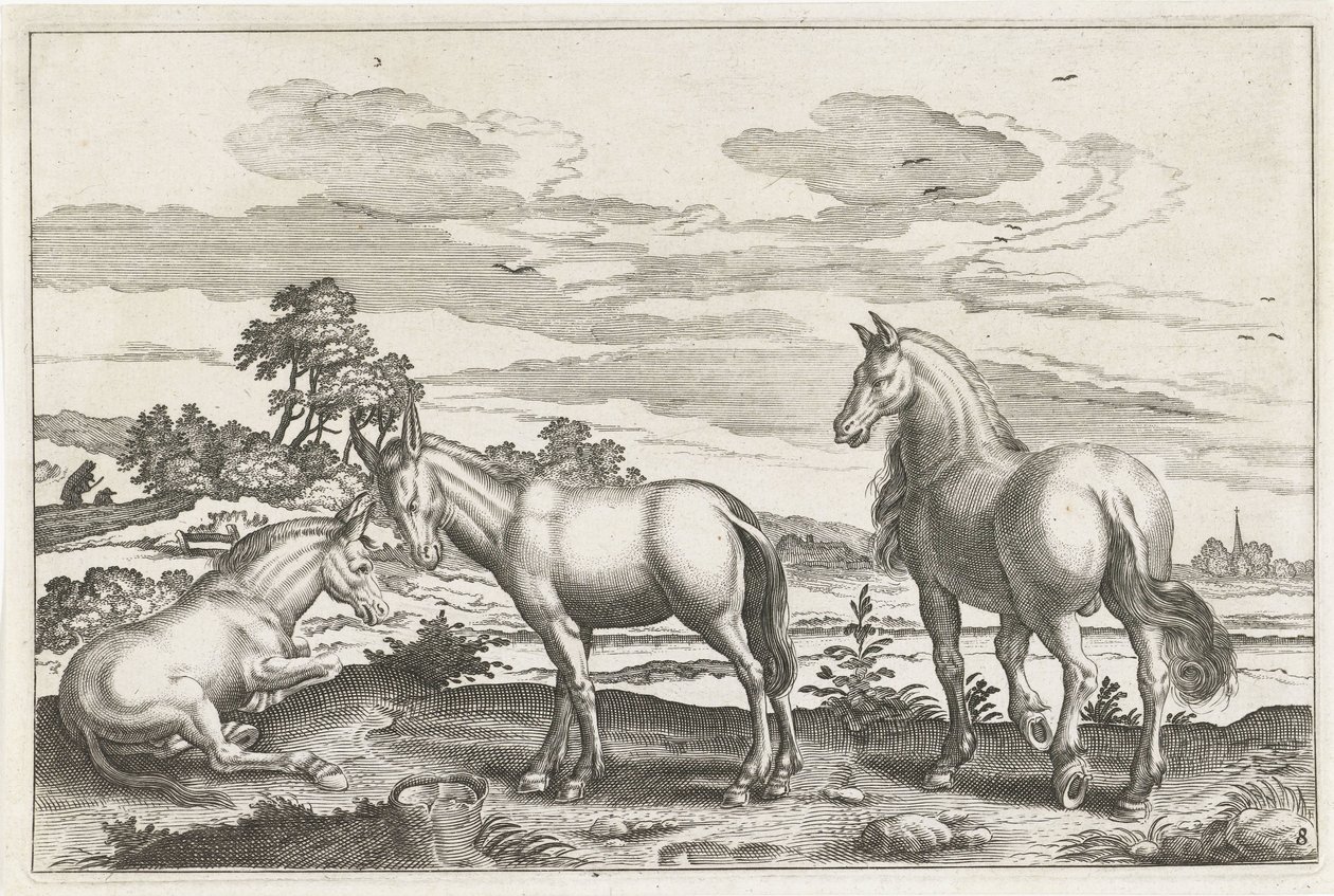 Horse and Donkeys (Four-Legged Animals Series) by Anonymous