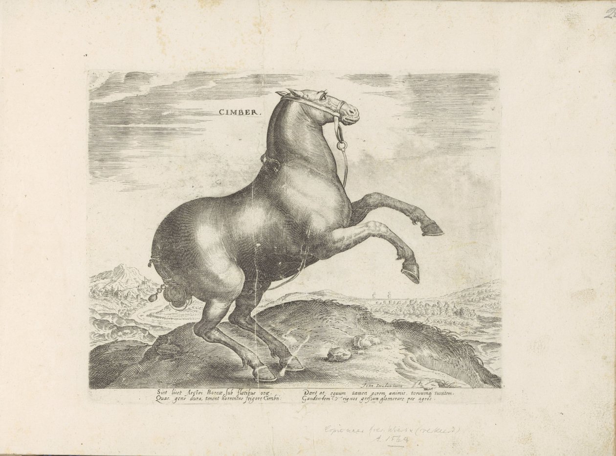 Horse from Scythia (Horse Breeds from the Royal Stables of Don Juan of Austria) by Anonymous