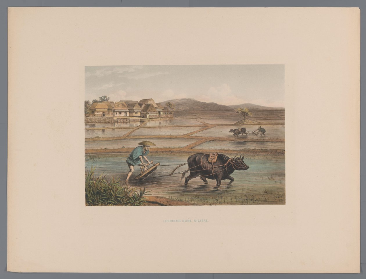 Plowing Farmers in Japanese Rice Fields (Souvenir of Japan Views from Nature with Text by Count de Lijnden) by Anonymous