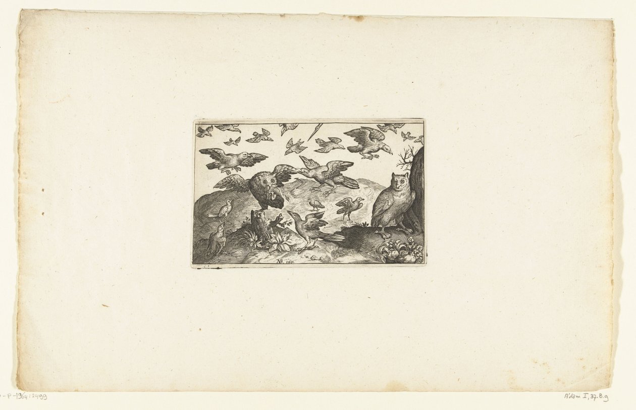 Standing Owl and Owl Attacked by Birds (series title) by Anonymous